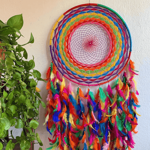 14 INCH MULTI COLOUR DREAM CATCHERHand Crafted DecorSellenza